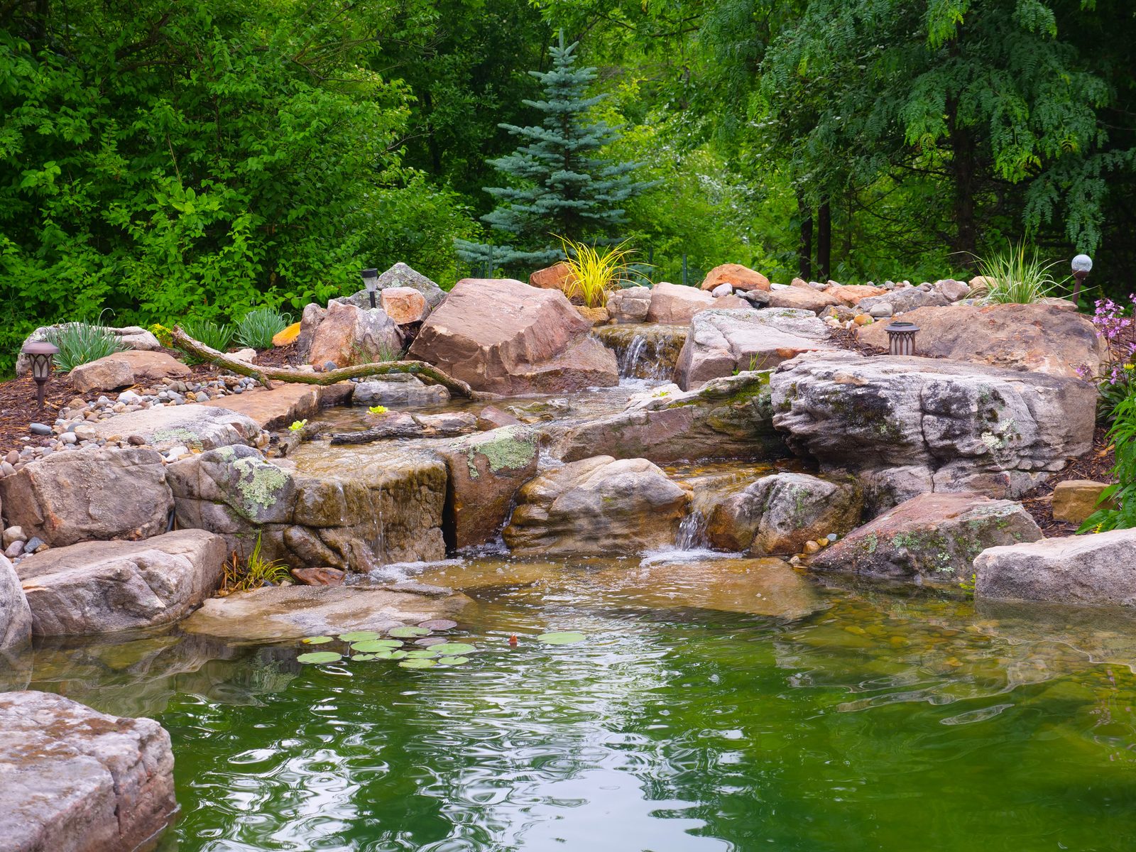 Pond with a stone waterfall backed by tall forest and lily pads
