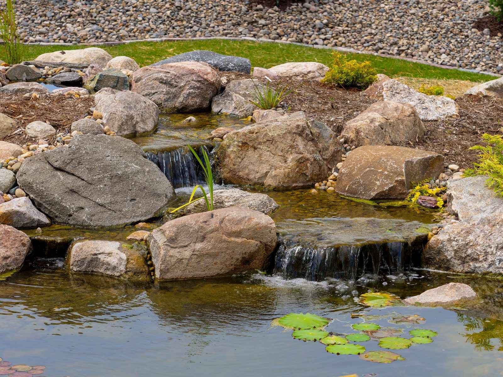 Backyard pond with a large boulder waterfall spilling toward floating lily pads