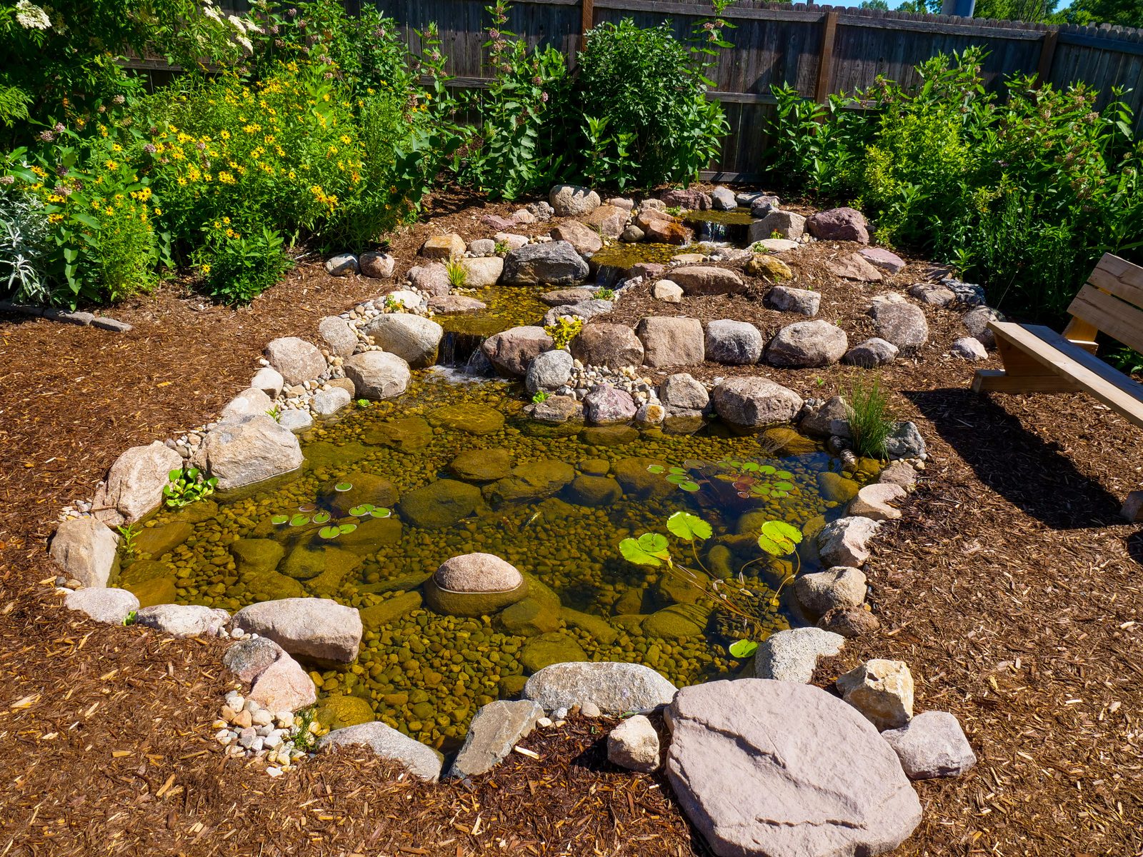 Ecosystem pond with lily pads and fresh streamside plantings