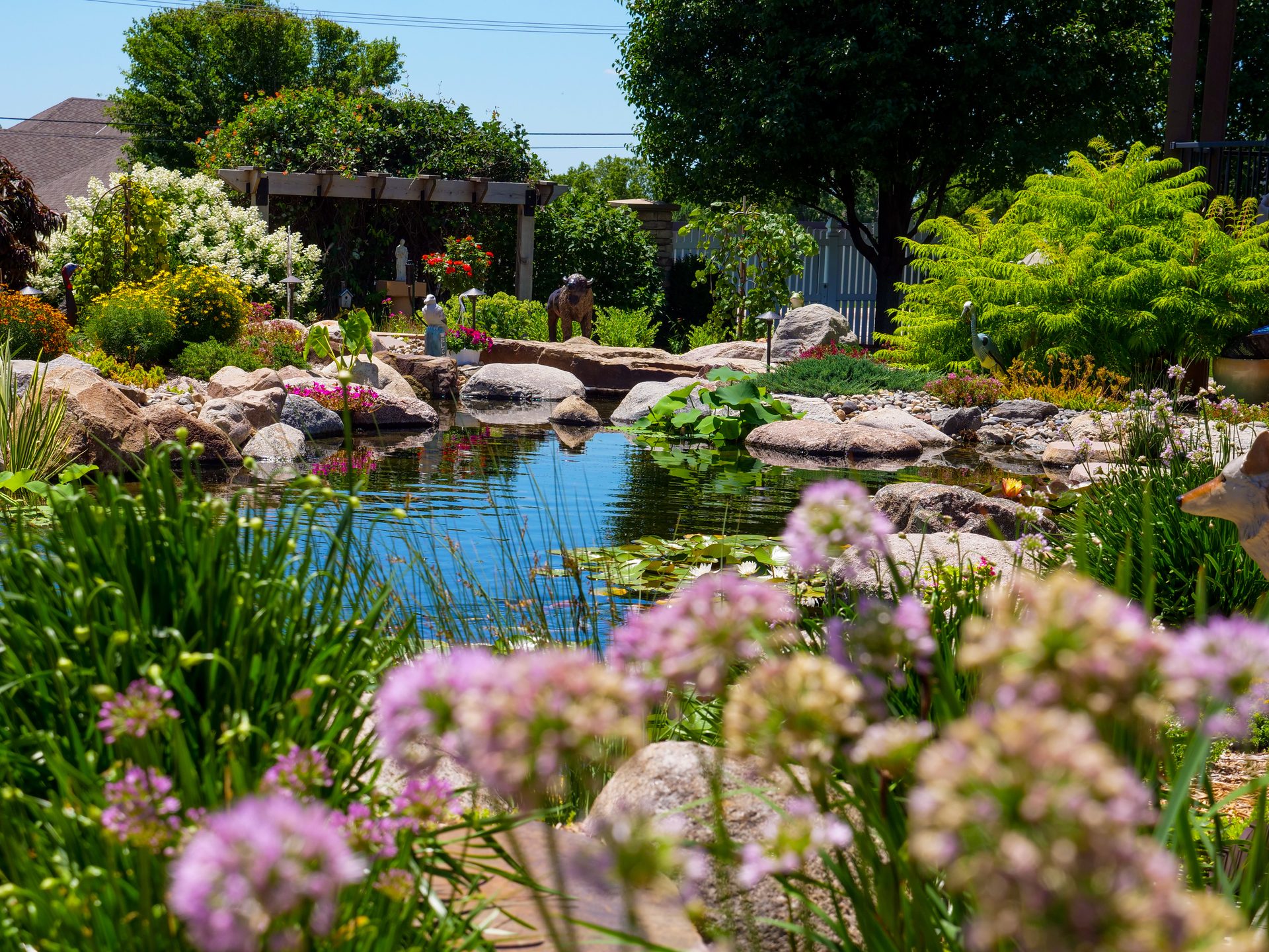 Lush garden pond framed by pink flowers with a pergola in the background