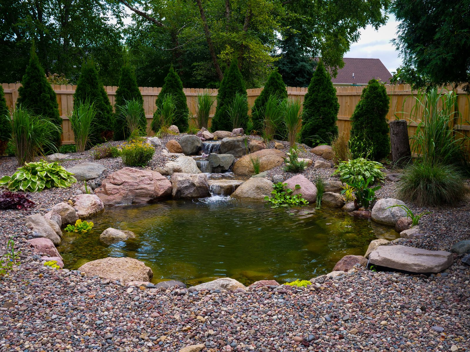 Bring life to your yard with a custom pond