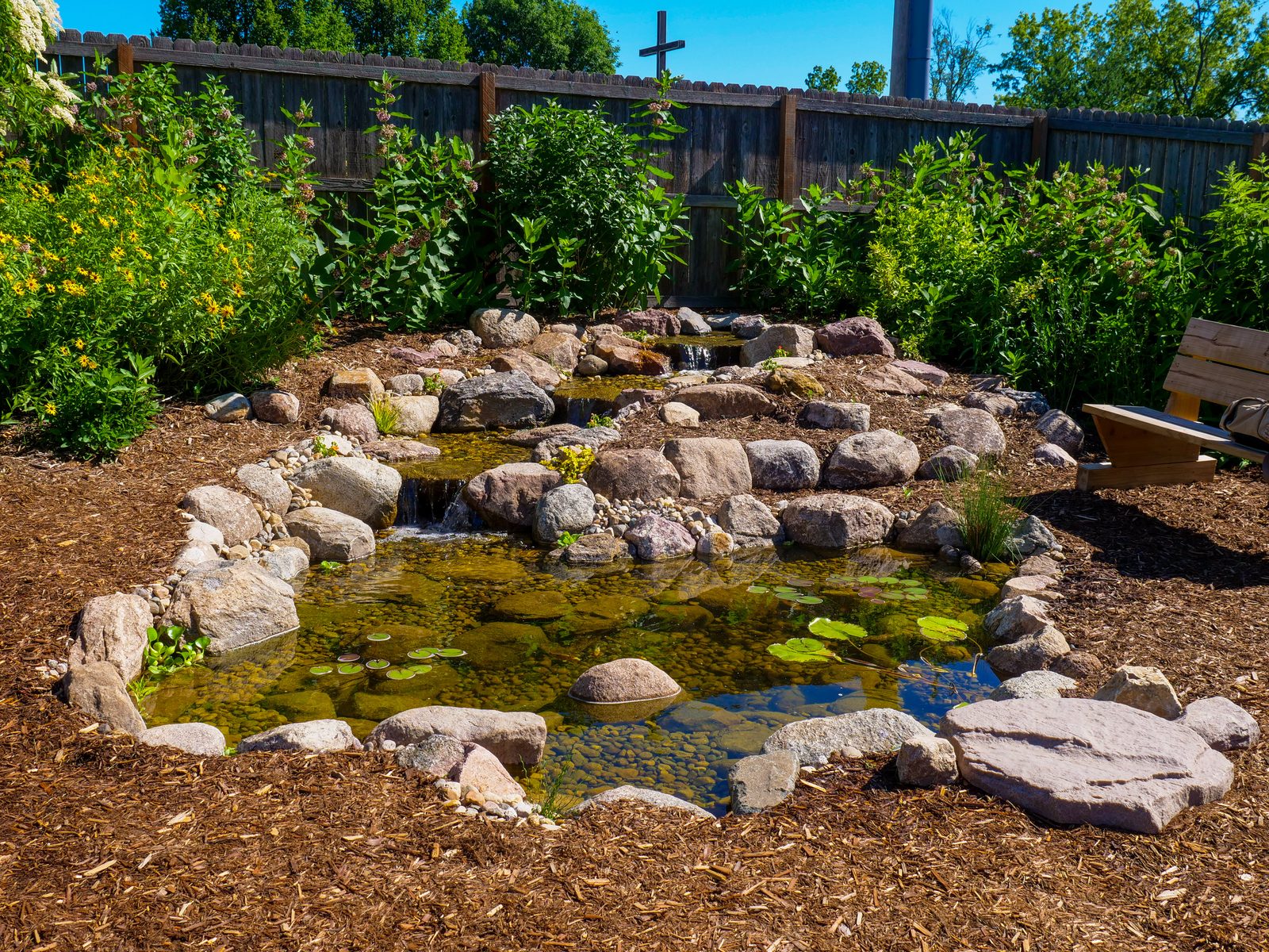 High-End Pond