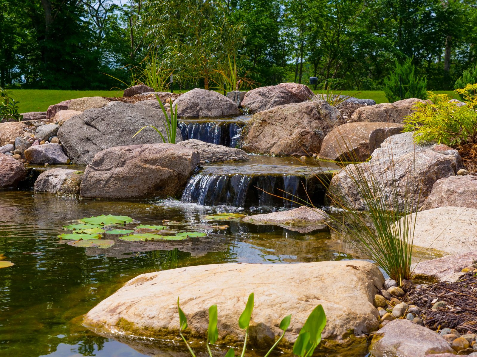 Backyard pond with a large boulder waterfall and floating lily pads