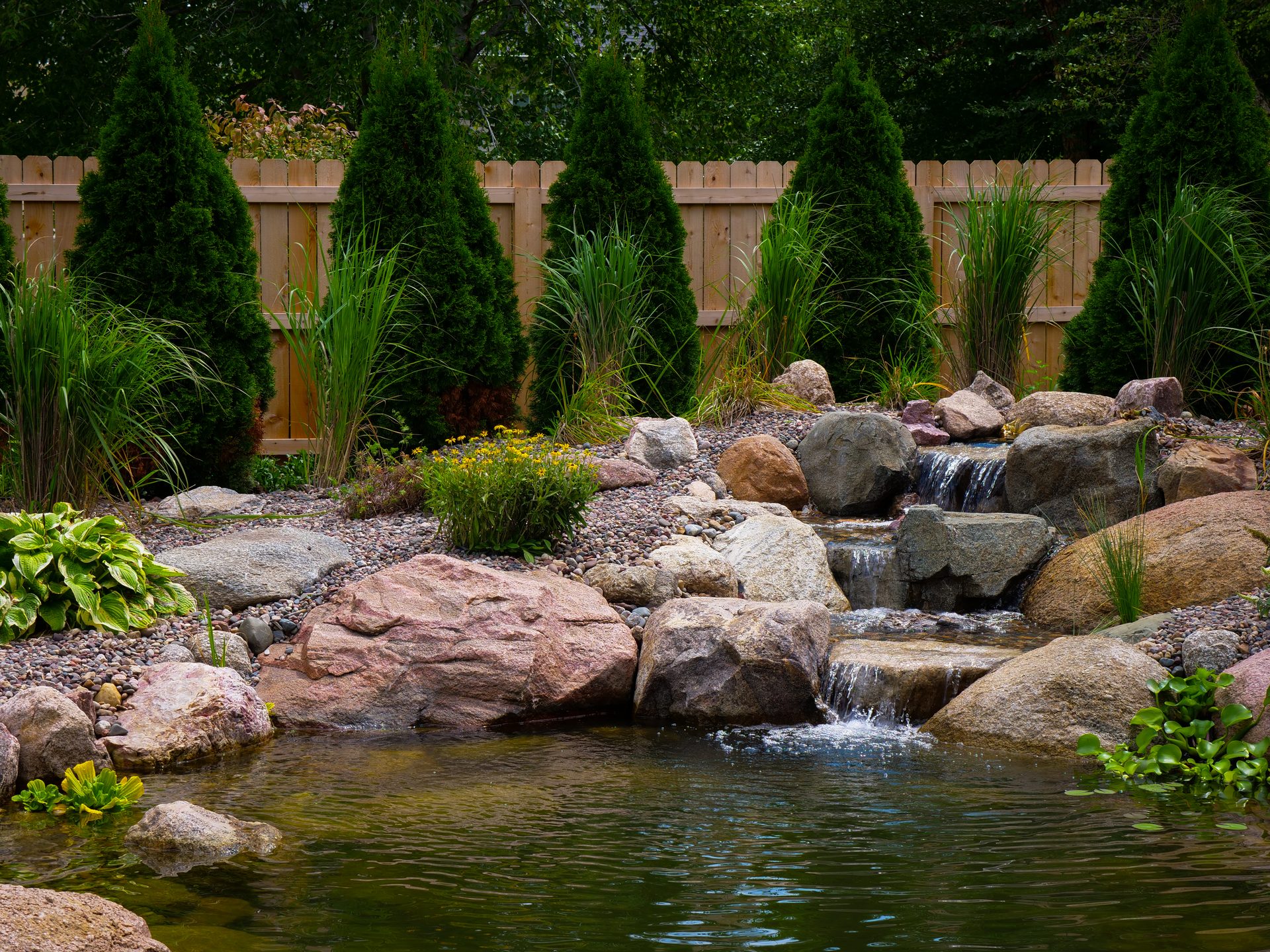 Custom backyard pond with a stone waterfall, boulders, and evergreen plantings