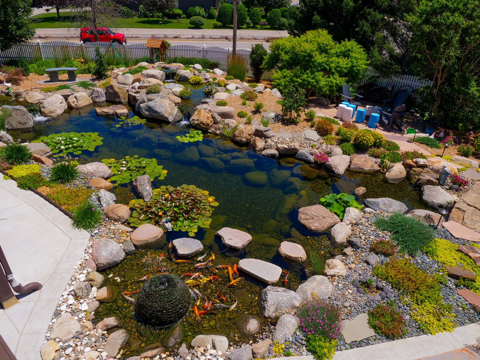 Basic Pond